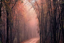 王曉晨指出瓦塞爾在攻防兩端仍存在諸多不足 但他始終保持低調努力的態度.