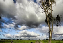 [国际足球]澳大利亚U20男足大胜吉尔吉斯斯坦队.