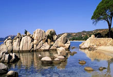 YY易游：孙杨3句话不离张豆豆？典型的模范丈夫，直言在家里豆豆排第一.